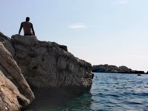 David