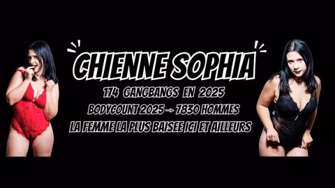 chiennesophia