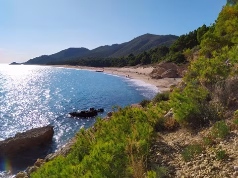 Natuvic1